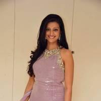 Hamsa Nandhini launched Ashadam Collection at Cmr Patny Center Photos | Picture 517046