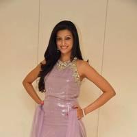 Hamsa Nandhini launched Ashadam Collection at Cmr Patny Center Photos | Picture 517060