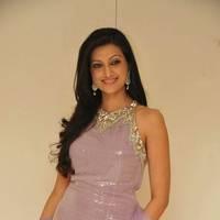 Hamsa Nandhini launched Ashadam Collection at Cmr Patny Center Photos | Picture 517064