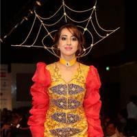 Sanjana Galrani Ramp Walk at Hyderabad Fashion Week Photos | Picture 524094
