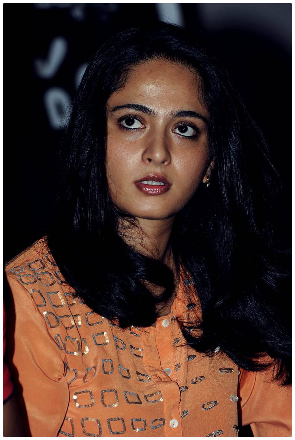 Anushka Shetty at Singam 2 (Yamudu 2) Movie Press Meet Photos | Picture 474261