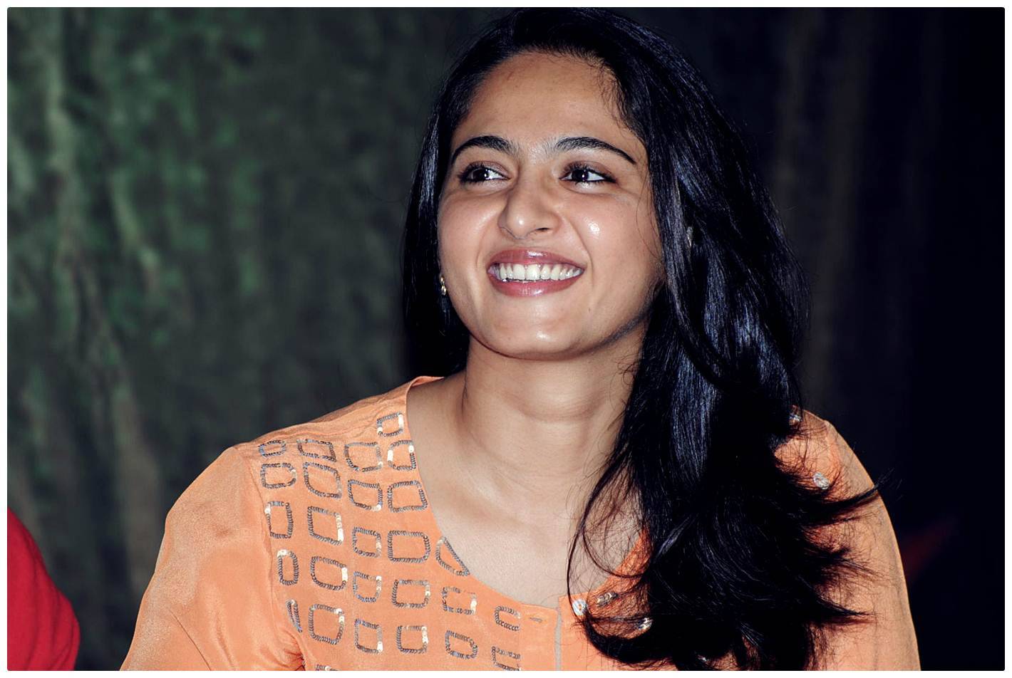 Anushka Shetty at Singam 2 (Yamudu 2) Movie Press Meet Photos | Picture 474283