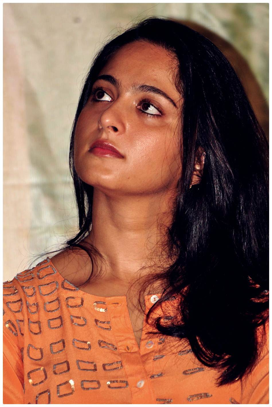 Anushka Shetty at Singam 2 (Yamudu 2) Movie Press Meet Photos | Picture 474032