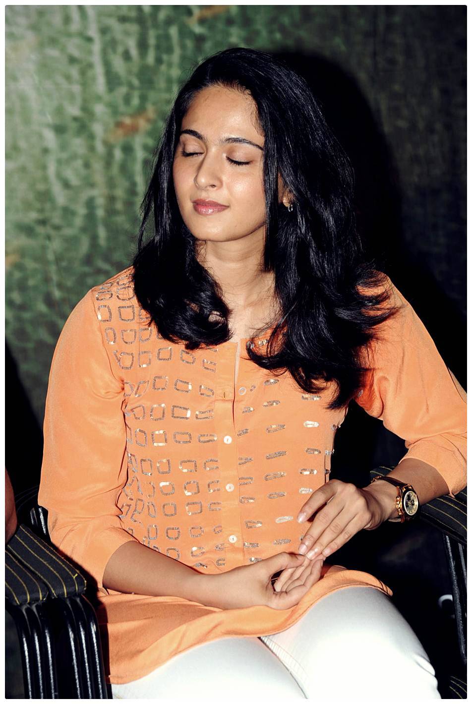 Anushka Shetty at Singam 2 (Yamudu 2) Movie Press Meet Photos | Picture 474302