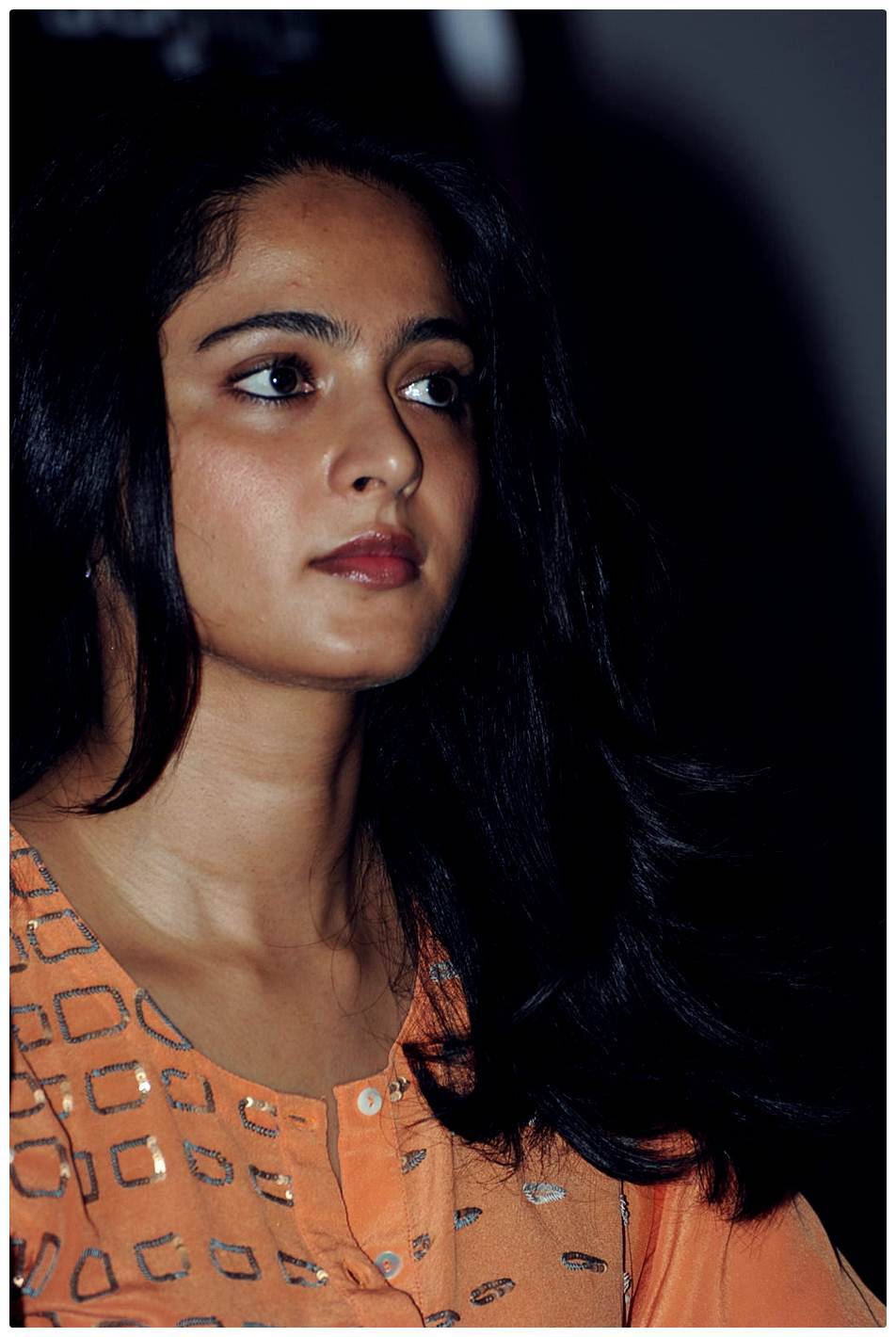 Anushka Shetty at Singam 2 (Yamudu 2) Movie Press Meet Photos | Picture 474318