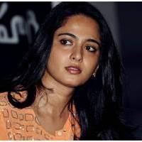 Anushka Shetty at Singam 2 (Yamudu 2) Movie Press Meet Photos | Picture 474256
