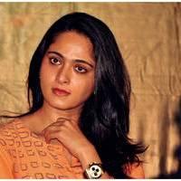 Anushka Shetty at Singam 2 (Yamudu 2) Movie Press Meet Photos | Picture 473996
