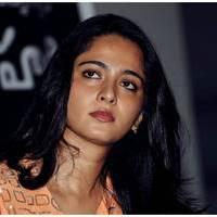 Anushka Shetty at Singam 2 (Yamudu 2) Movie Press Meet Photos | Picture 474286