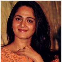 Anushka Shetty at Singam 2 (Yamudu 2) Movie Press Meet Photos | Picture 474031