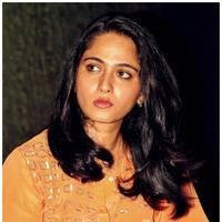 Anushka Shetty at Singam 2 (Yamudu 2) Movie Press Meet Photos | Picture 474036