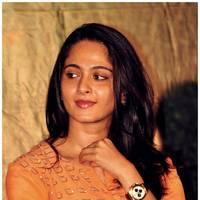 Anushka Shetty at Singam 2 (Yamudu 2) Movie Press Meet Photos | Picture 474042