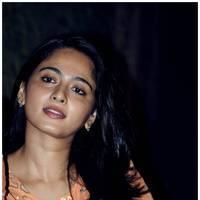 Anushka Shetty at Singam 2 (Yamudu 2) Movie Press Meet Photos | Picture 474313