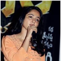 Anushka Shetty at Singam 2 (Yamudu 2) Movie Press Meet Photos | Picture 474320
