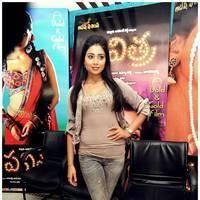 Shriya Saran at Pavitra Movie Press Meet Photos