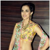 Shilpa Reddy Ramp Walk at Passionate Foundation Fashion Show Photos | Picture 477328