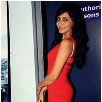 Neelam Upadhyay at Action 3D Premiere Photos | Picture 486680