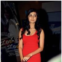 Neelam Upadhyay at Action 3D Premiere Photos | Picture 486700