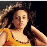 Sneha Ullal Hot in Action 3D Movie Photos | Picture 486522