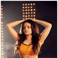 Sneha Ullal Hot in Action 3D Movie Photos | Picture 486535