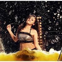 Sneha Ullal Hot in Action 3D Movie Photos | Picture 486540