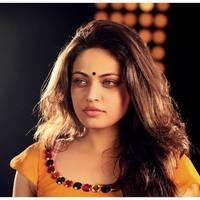Sneha Ullal Hot in Action 3D Movie Photos | Picture 486544
