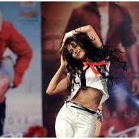 Shanvi - Adda Movie Audio Launch Function Photos | Picture 488639