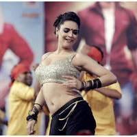 Shweta Bhardwaj Hot Dance in Adda Audio Launch Photos | Picture 488920