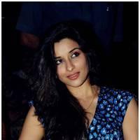 Madhurima Hot at Romance Audio Release Function Photos | Picture 495403