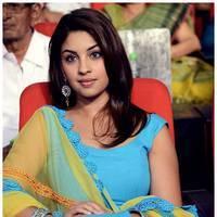 Richa Gangopadhyay at Romance Audio Release Function Photod | Picture 495476