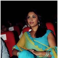 Richa Gangopadhyay at Romance Audio Release Function Photod | Picture 495520