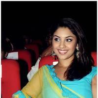 Richa Gangopadhyay at Romance Audio Release Function Photod | Picture 495530