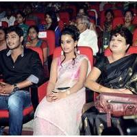 Romance Telugu Movie Audio Launch Function Photos | Picture 495204