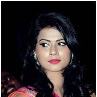 Sharmila Mandre - Kevvu Keka Audio Launch Photos | Picture 496919