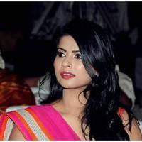 Sharmila Mandre at Kevvu Keka Audio Release Function Photos | Picture 497067