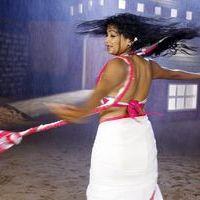 Priyamani - Priyamani Hot Stills in Tikka Movie | Picture 396338