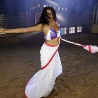 Priyamani - Priyamani Hot Stills in Tikka Movie | Picture 396340