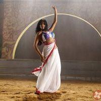 Priyamani - Priyamani Hot Stills in Tikka Movie | Picture 396341