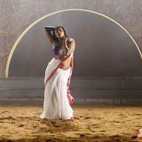Priyamani - Priyamani Hot Stills in Tikka Movie | Picture 396342