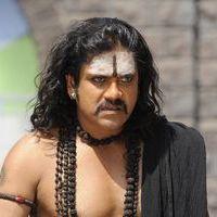 Nagarjuna Akkineni - Nagarjuna in Sri Jagadguru Aadi Sankara Movie Stills | Picture 397060