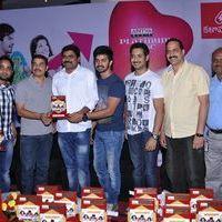 Back Bench Student Platinum Disc Function Pictures | Picture 401067