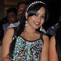 Madhavi Latha at Ramappa Movie Audio Launch Pictures | Picture 402027