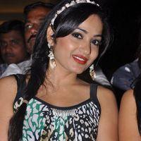 Madhavi Latha at Ramappa Movie Audio Launch Pictures | Picture 402029