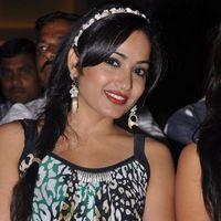 Madhavi Latha at Ramappa Movie Audio Launch Pictures | Picture 402030