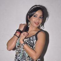 Madhavi Latha at Ramappa Movie Audio Launch Pictures | Picture 402044