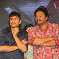Baadshah Movie Audio Launch Pictures | Picture 410801