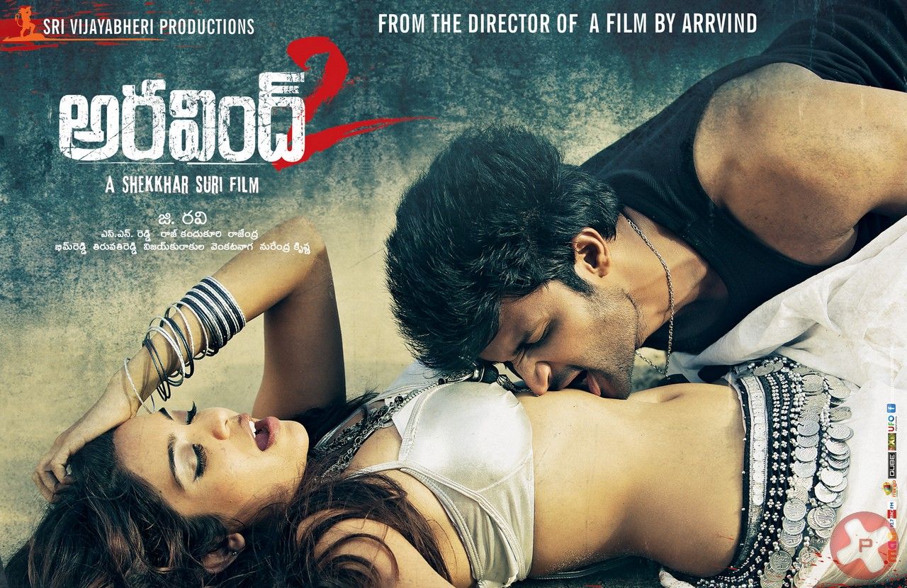 Aravind 2 Movie Hot Wallpapers | Picture 414068