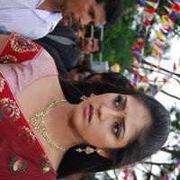Hari Priya Hot Photo Shoot Stills | Picture 415469