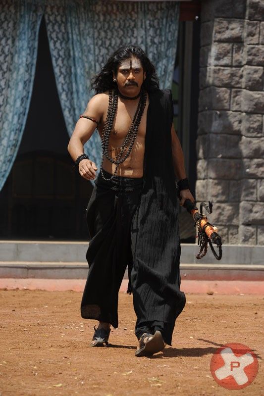 Nagarjuna In Adi Shankara Movie Stills | Picture 415232