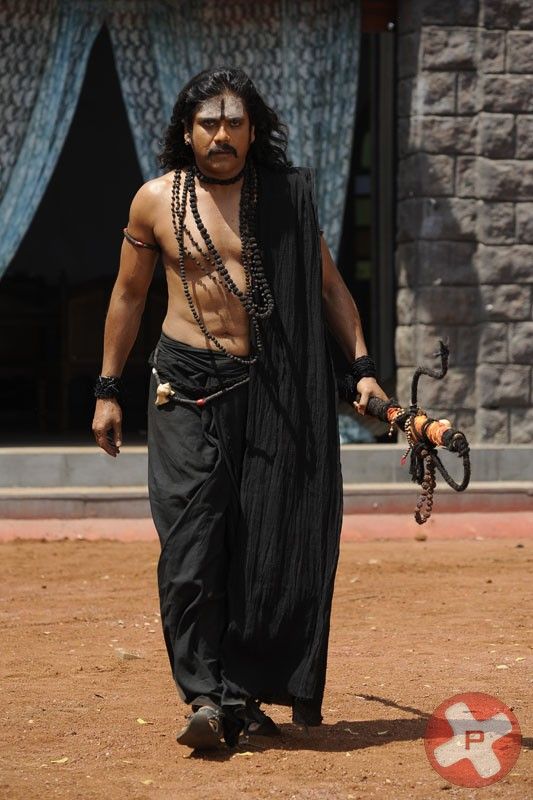 Nagarjuna In Adi Shankara Movie Stills | Picture 415235