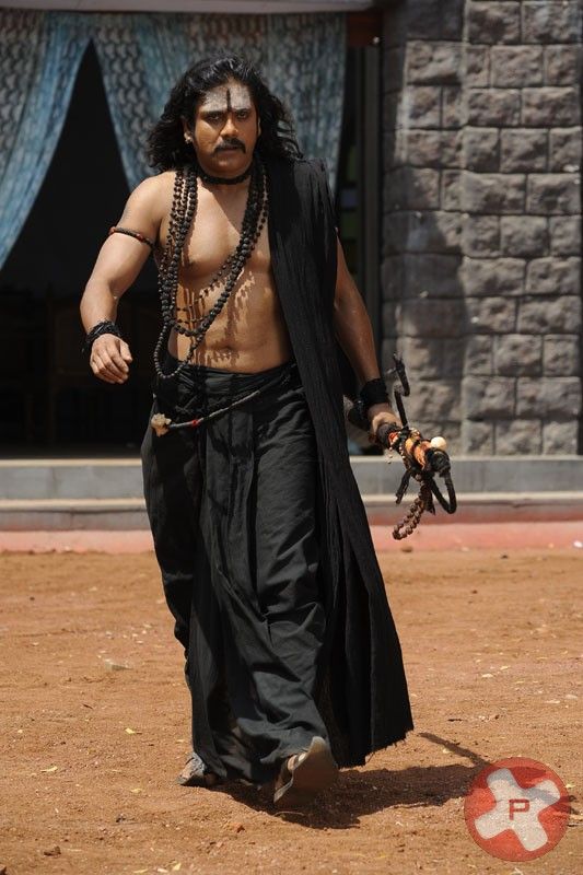 Nagarjuna In Adi Shankara Movie Stills | Picture 415239